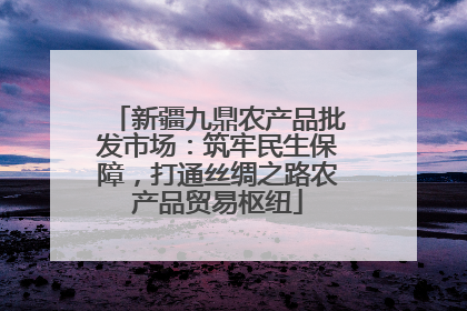 新疆九鼎农产品批发市场：筑牢民生保障，打通丝绸之路农产品贸易枢纽