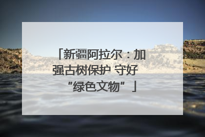 新疆阿拉尔：加强古树保护 守好“绿色文物”