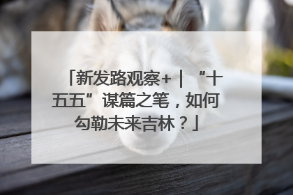 新发路观察+｜“十五五”谋篇之笔，如何勾勒未来吉林？