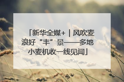 新华全媒+｜风吹麦浪好“丰”景——多地小麦机收一线见闻