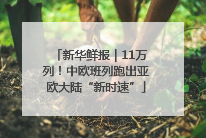 新华鲜报｜11万列！中欧班列跑出亚欧大陆“新时速”