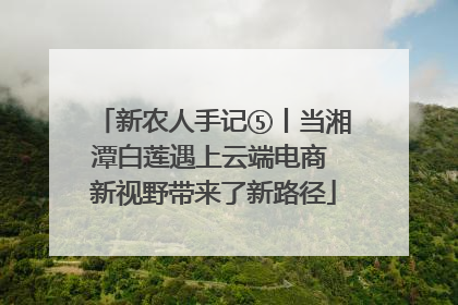 新农人手记⑤丨当湘潭白莲遇上云端电商 新视野带来了新路径