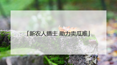新农人播主 助力卖瓜难