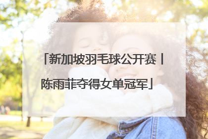 新加坡羽毛球公开赛丨陈雨菲夺得女单冠军