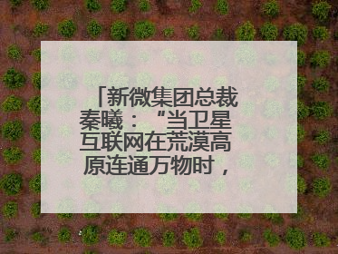 新微集团总裁秦曦：“当卫星互联网在荒漠高原连通万物时，成都的创新故事才真正开始”