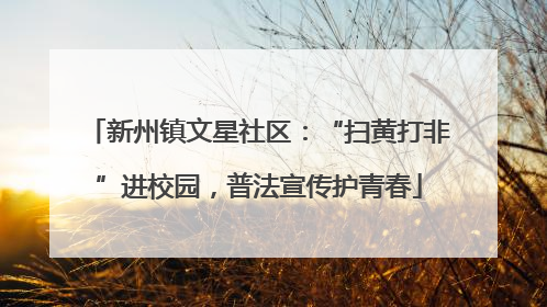 新州镇文星社区：“扫黄打非”进校园，普法宣传护青春