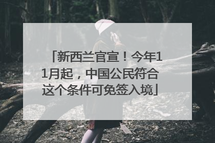 新西兰官宣！今年11月起，中国公民符合这个条件可免签入境