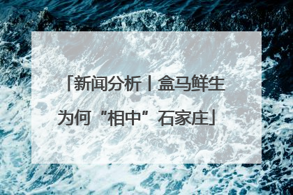 新闻分析丨盒马鲜生为何“相中”石家庄