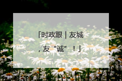 时政眼｜友城，友“诚”！
