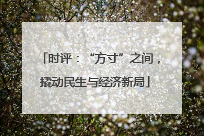时评：“方寸”之间，撬动民生与经济新局