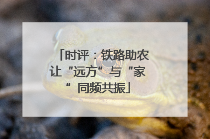 时评：铁路助农让“远方”与“家”同频共振