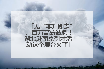 无“非升即走”、百万高薪诚聘！湖北赴南京引才活动这个展台火了