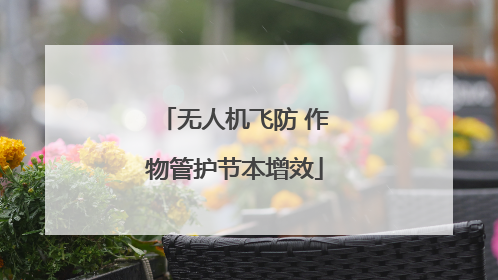无人机飞防 作物管护节本增效