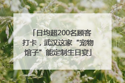 日均超200名顾客打卡，武汉这家“宠物馆子”能定制生日宴