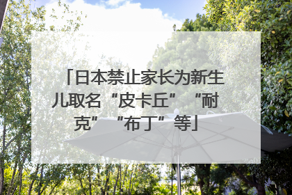 日本禁止家长为新生儿取名“皮卡丘”“耐克”“布丁”等