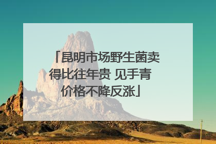 昆明市场野生菌卖得比往年贵 见手青价格不降反涨