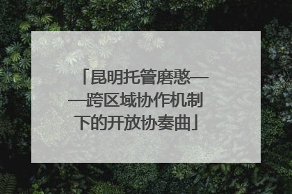 昆明托管磨憨——跨区域协作机制下的开放协奏曲