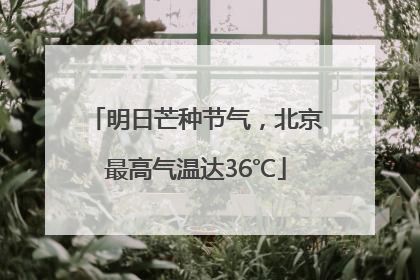 明日芒种节气，北京最高气温达36℃