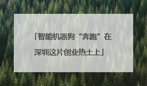 智能机器狗“奔跑”在深圳这片创业热土上