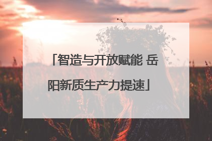 智造与开放赋能 岳阳新质生产力提速