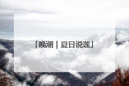 晚潮｜夏日说莲