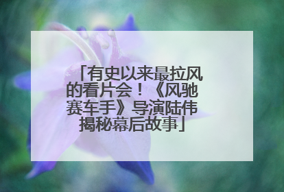 有史以来最拉风的看片会！《风驰赛车手》导演陆伟揭秘幕后故事