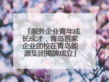 服务企业青年成长成才，青岛首家企业团校在青岛能源集团揭牌成立