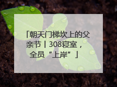朝天门梯坎上的父亲节丨308寝室，全员“上岸”