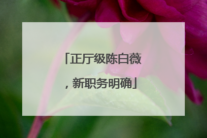 正厅级陈白薇，新职务明确