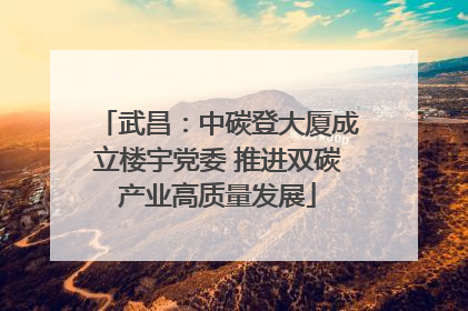 武昌：中碳登大厦成立楼宇党委 推进双碳产业高质量发展