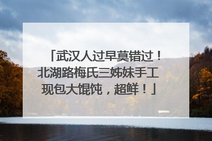 武汉人过早莫错过！北湖路梅氏三姊妹手工现包大馄饨，超鲜！