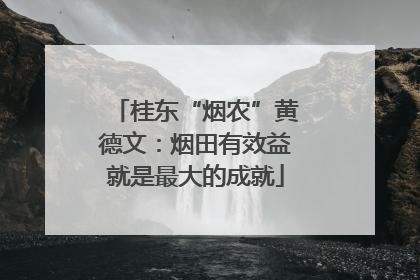 桂东“烟农”黄德文：烟田有效益就是最大的成就