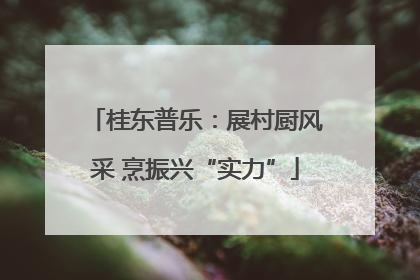 桂东普乐：展村厨风采 烹振兴“实力”