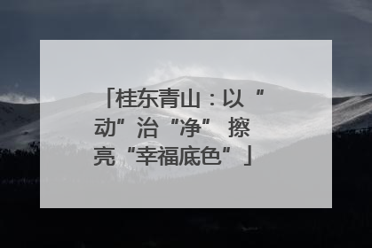 桂东青山：以“动”治“净” 擦亮“幸福底色”
