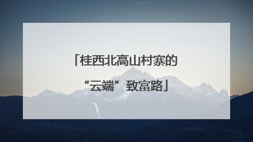 桂西北高山村寨的“云端”致富路