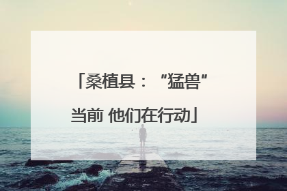 桑植县：“猛兽”当前 他们在行动