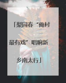 梨园春“俺村最有戏”唱响新乡南太行
