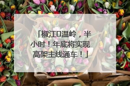 椒江⇌温岭，半小时！年底将实现高架主线通车！