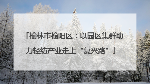 榆林市榆阳区：以园区集群助力轻纺产业走上“复兴路”