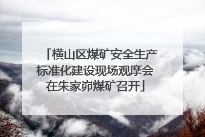 横山区煤矿安全生产标准化建设现场观摩会在朱家峁煤矿召开