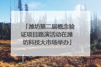 潍坊第二届概念验证项目路演活动在潍坊科技大市场举办