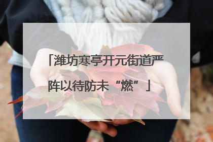 潍坊寒亭开元街道严阵以待防未“燃”