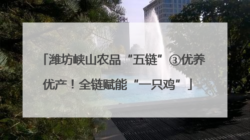 潍坊峡山农品“五链”③优养优产！全链赋能“一只鸡”