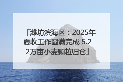 潍坊滨海区：2025年夏收工作圆满完成 5.22万亩小麦颗粒归仓