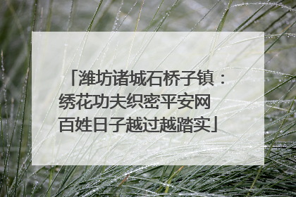潍坊诸城石桥子镇：绣花功夫织密平安网 百姓日子越过越踏实