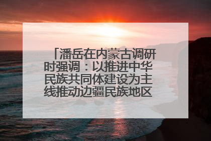 潘岳在内蒙古调研时强调：以推进中华民族共同体建设为主线推动边疆民族地区高质量发展