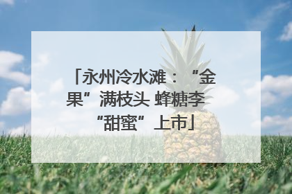 永州冷水滩：“金果”满枝头 蜂糖李“甜蜜”上市