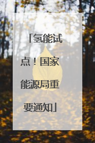 氢能试点！国家能源局重要通知