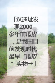 汉遗址发现2000多年前瓜皮，是我国目前发现时代最早“瓜皮”实物→