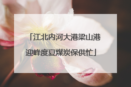 江北内河大港梁山港迎峰度夏煤炭保供忙
